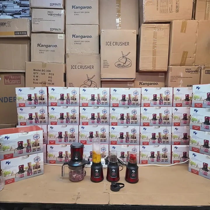 4-in-1 Multi-Functional Chopper & Blender - Lot Imported